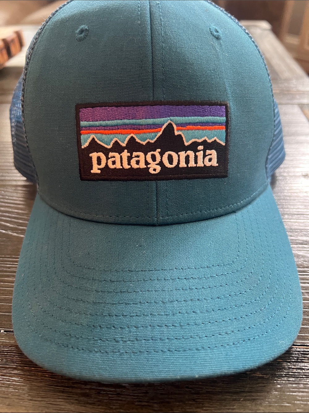 Patagonia Teal  Mesh Logo Trucker Hat
